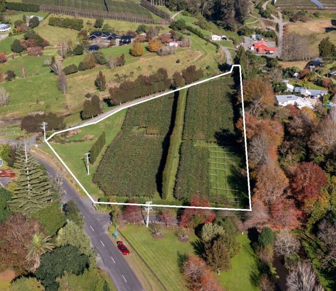 394 Old Highway, Whakamarama, Whakamārama - Carousel 1