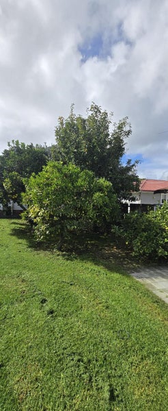 59 Myers Road, Manurewa East, Auckland - Carousel 13