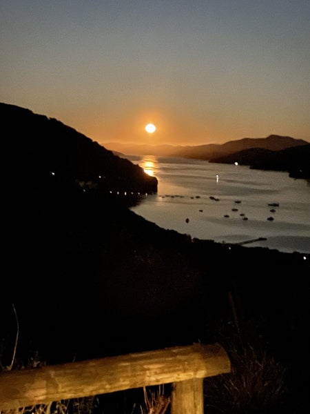 59 Tirimoana Terrace, Picton - Carousel 26