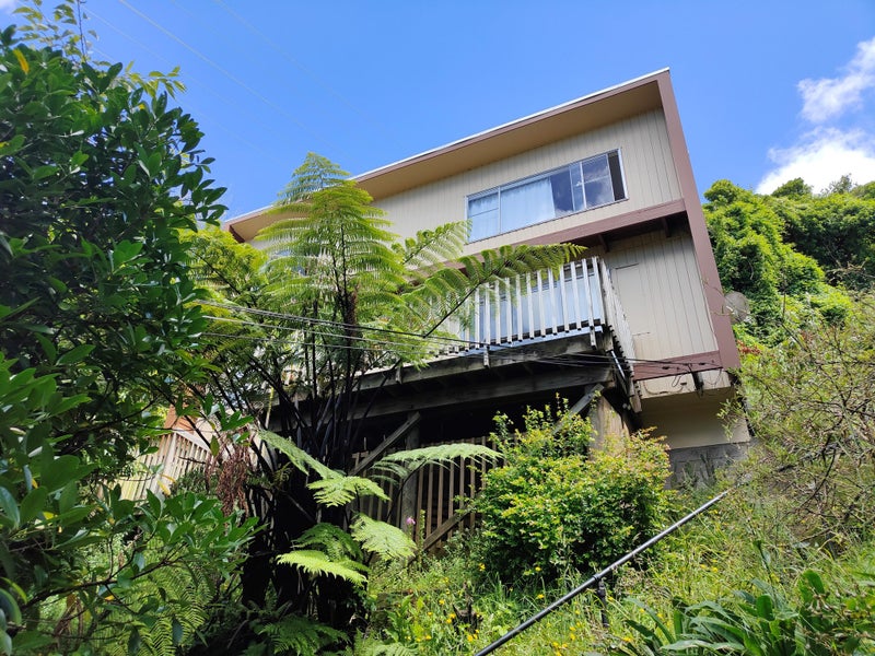 164B Raroa Road, Aro Valley, Wellington - Carousel 9