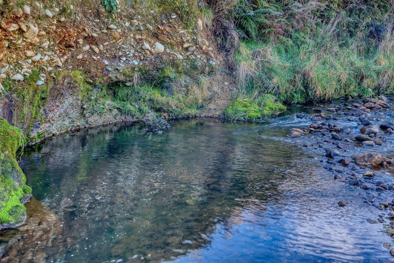 239 Blue Spur Road, Blue Spur, Hokitika - Carousel 17