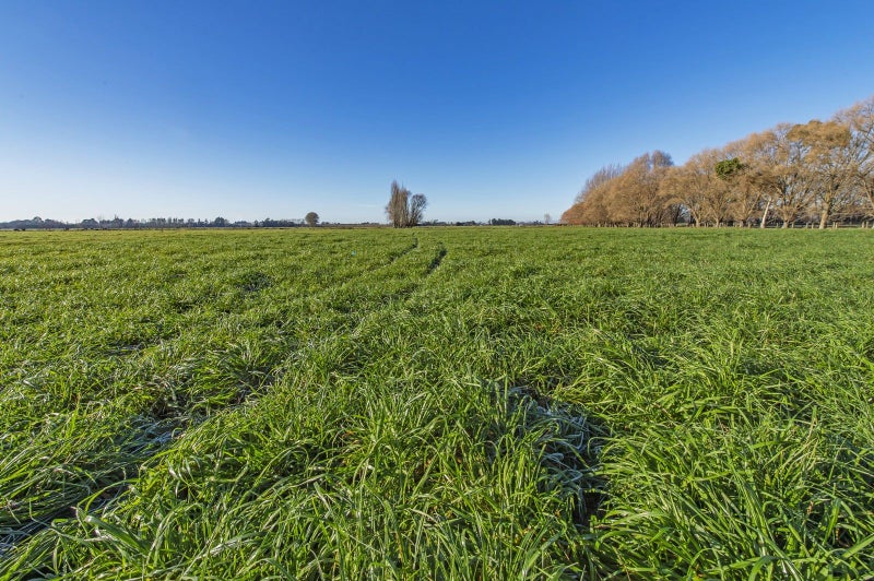 12 Bramleys Road, Flaxton - Carousel 2