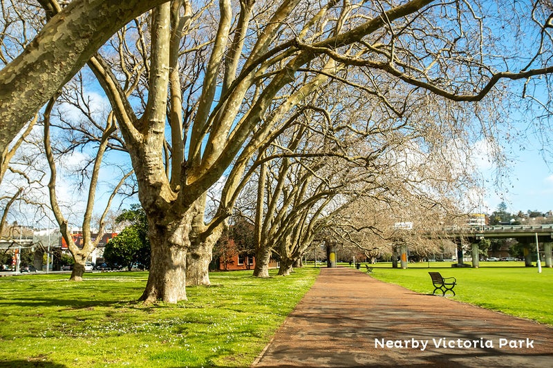 57 Napier Street, Freemans Bay, Auckland - Carousel 6