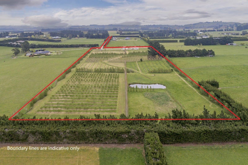 120 Davis Road, Cust, Rangiora - Carousel 24