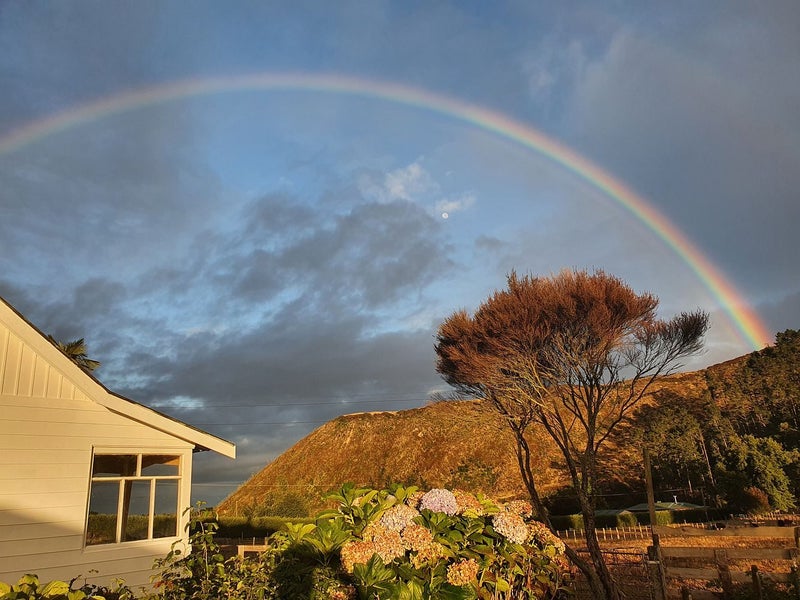 326 Scotsman Valley Road, Tauwhare, Hamilton - Carousel 1