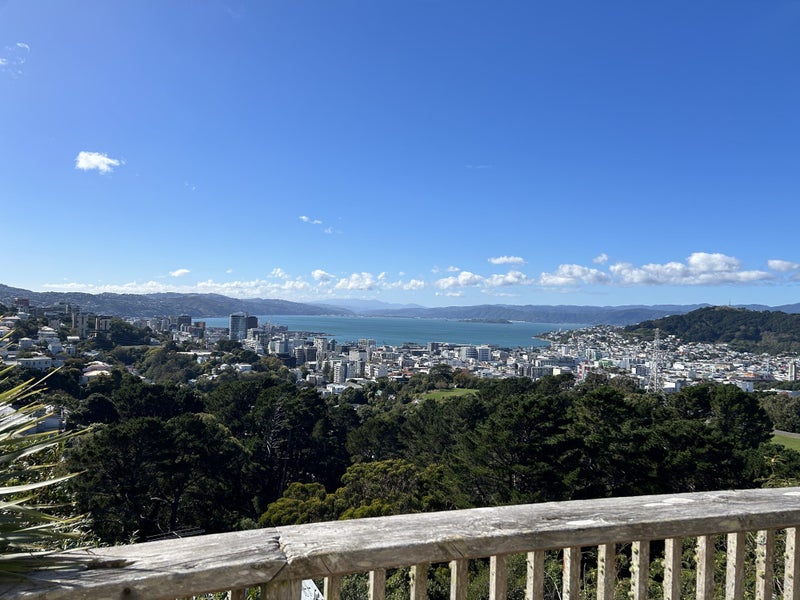 100 Mortimer Terrace, Brooklyn, Wellington - Carousel 1