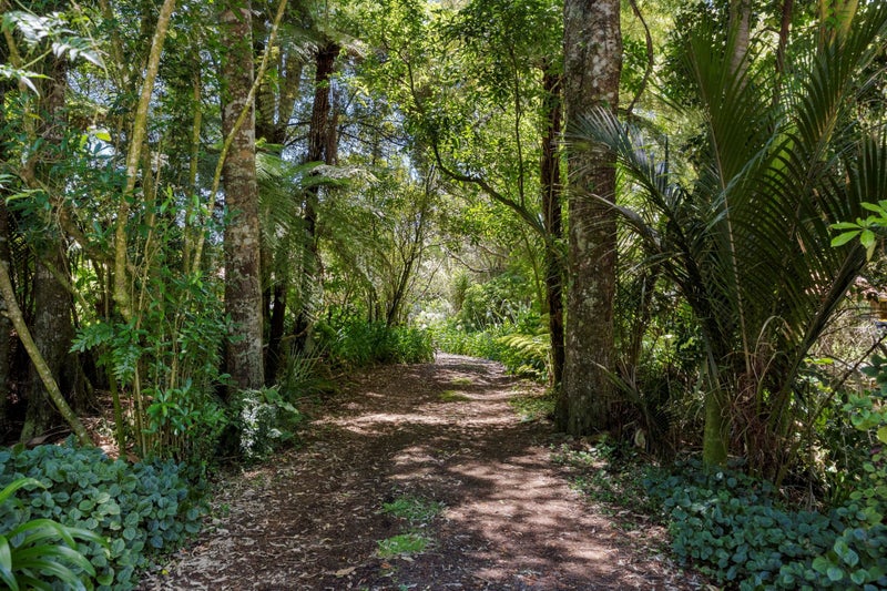 161 Scenic Drive, Titirangi, Auckland - Carousel 2