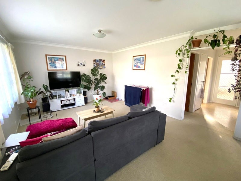 1A Mahoe Street, Matua, Tauranga - Carousel 2