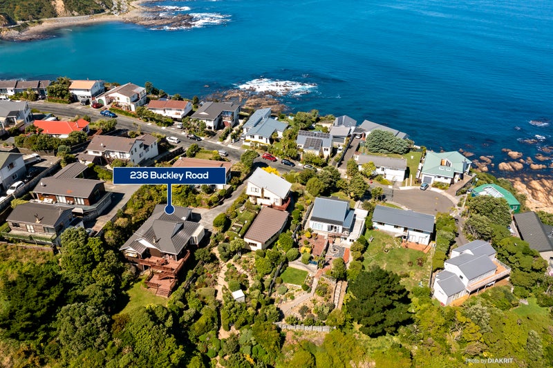 236 Buckley Road, Southgate, Wellington - Carousel 19