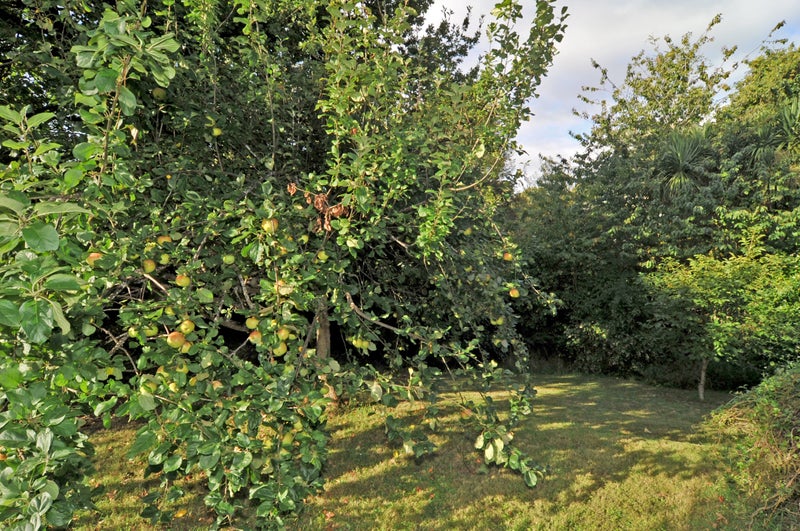 9 Hereweka Street, Portobello, Dunedin - Carousel 1