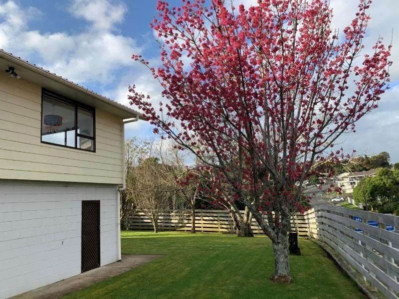 66 Cumberland Street, Welbourn, New Plymouth - Carousel 1