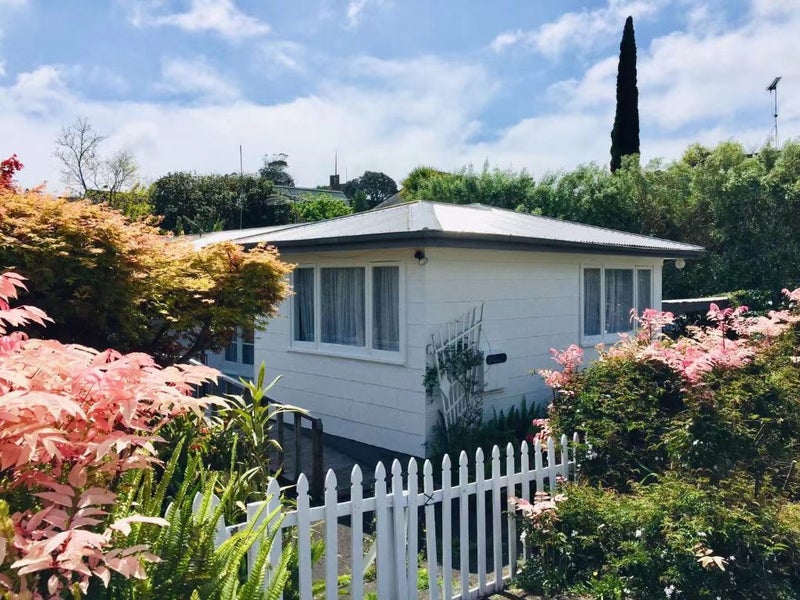 37A Don Croot Street, Morningside, Auckland - Carousel 1