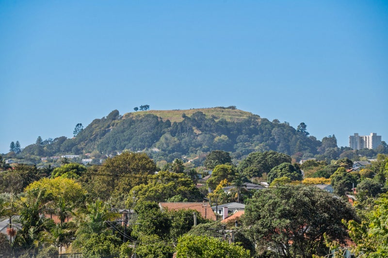 9A Keystone Avenue, Mount Roskill, Auckland - Carousel 15