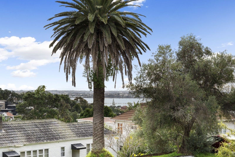 40 Ngake Street, Orakei, Auckland - Carousel 2