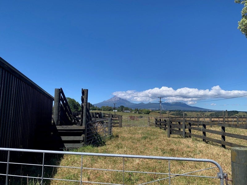 289 Upland Road, Tarurutangi, New Plymouth - Carousel 35