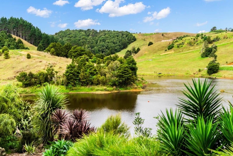 187 Millington Road, Whangarei - Carousel 32