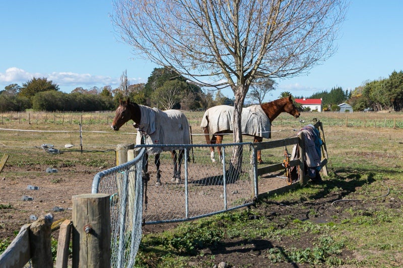 913 Waipukurau-Onga Road, ONGAONGA, Ongaonga - Carousel 23
