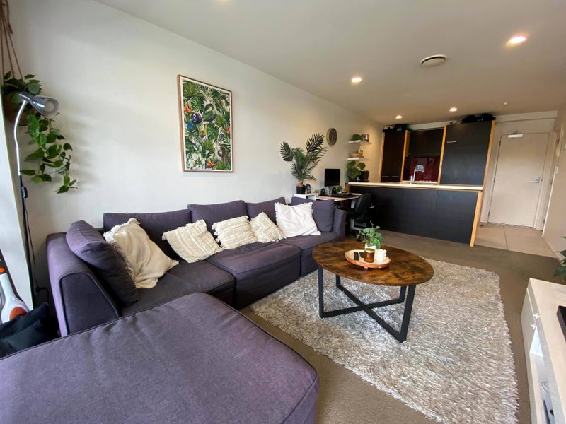 308/401 New North Road, Kingsland, Auckland - Carousel 1