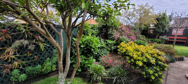 8A Parkvale Road, Otumoetai, Tauranga - Carousel 18