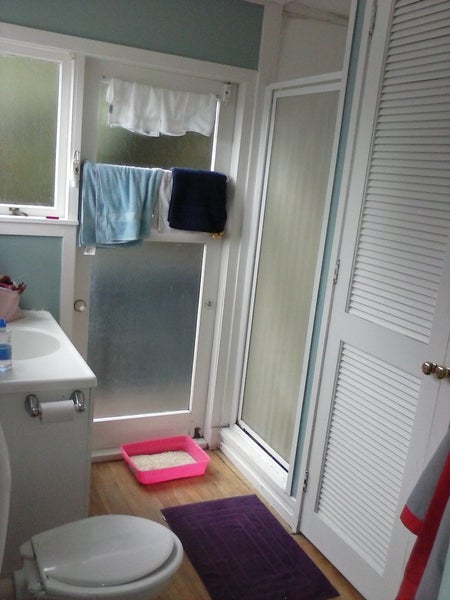 10A Roxy Terrace, Glendowie, Auckland - Carousel 16