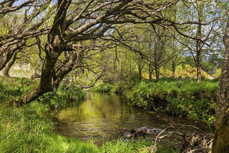 520 Makara Road, MAKARA - Carousel 2