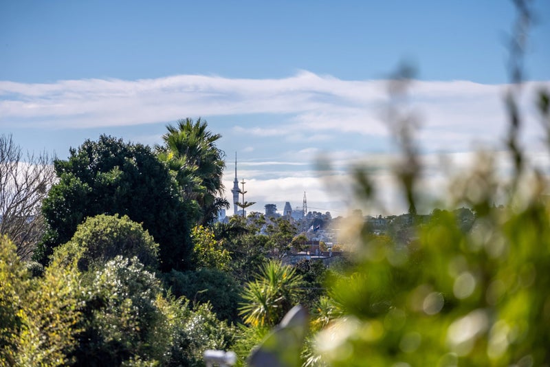 16/16 Willerton Avenue, New Lynn, Auckland - Carousel 20