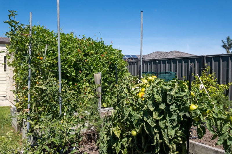 15 Lochhead Street, Mahora, Hastings - Carousel 25