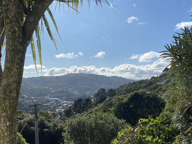 54 Huntingdon Street, Northland, Wellington - Carousel 1