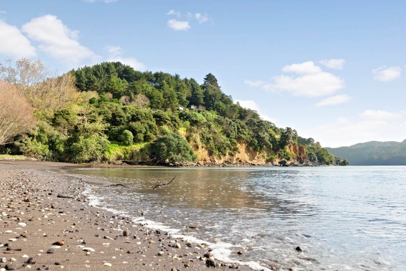 17B Dodd Road, Manukau Heads, Āwhitu - Carousel 22