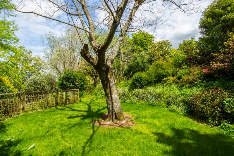 7 Westridge Drive, Tauriko, Tauranga - Carousel 25