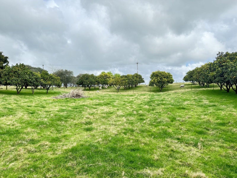 703 Old Coach Road, Te Puke - Carousel 17