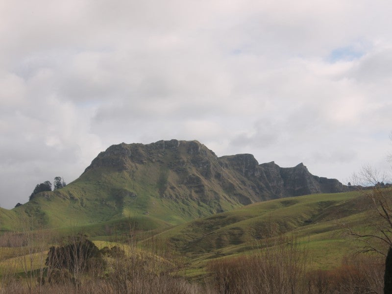 1372 Tuki Tuki Road, Tuki Tuki - Carousel 14