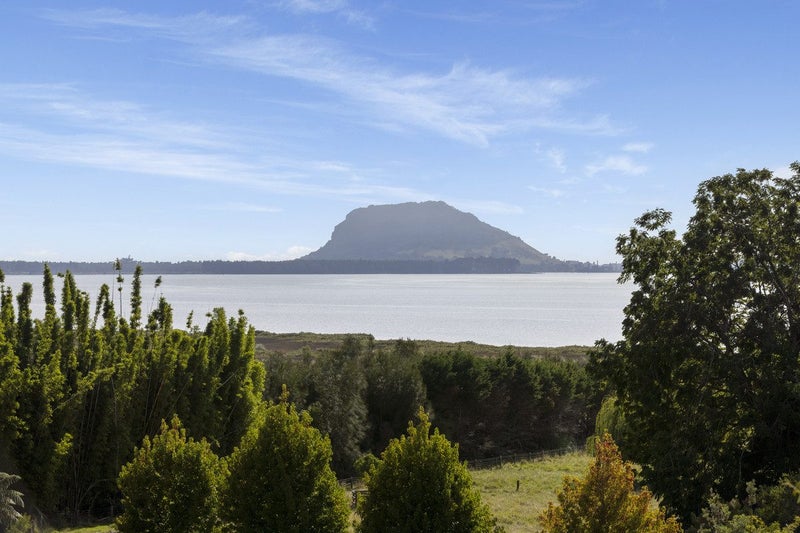 137 Lochhead Road, Te Puna, Tauranga - Carousel 5