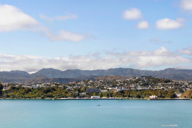 28 Belvedere Road, Hataitai, Wellington - Carousel 2