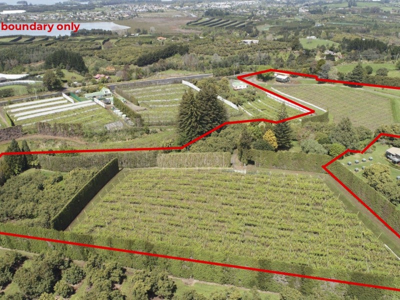 6A Woodland Road, Katikati - Carousel 21