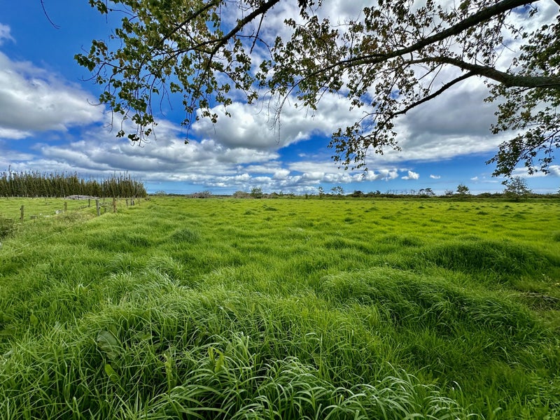 365 Kumi Road, Awanui - Carousel 2