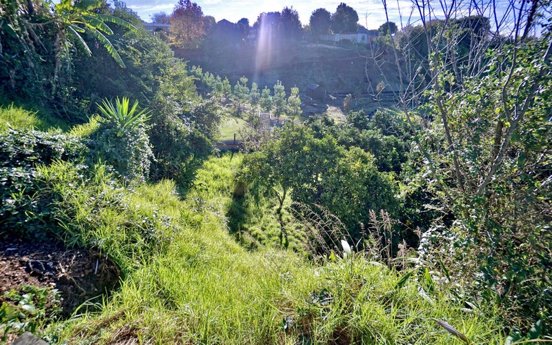 15B King Street, Te Puke, Te Puke - Carousel 15