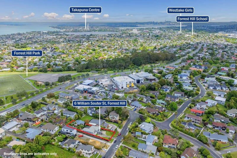 6 William Souter Street, Forrest Hill, Auckland - Carousel 2