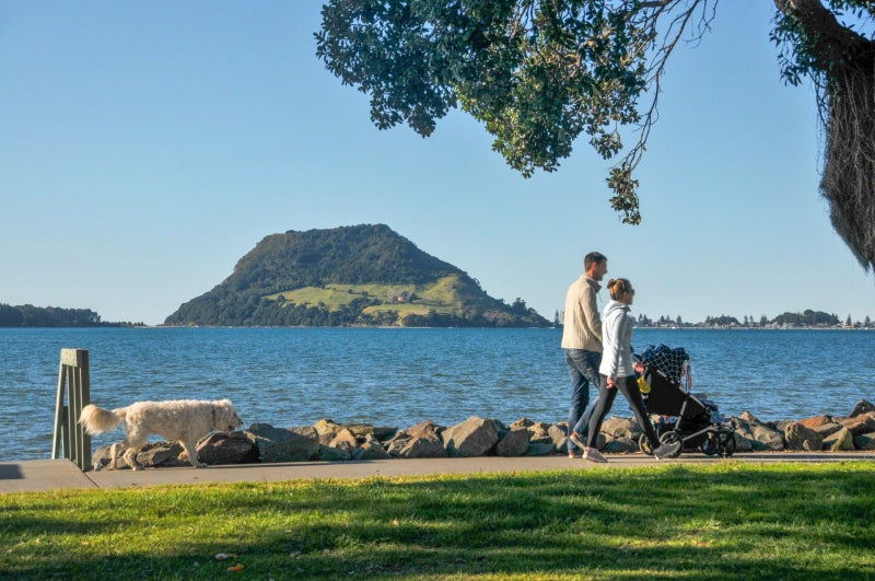 527 Otumoetai Road, Matua, Tauranga - Carousel 28