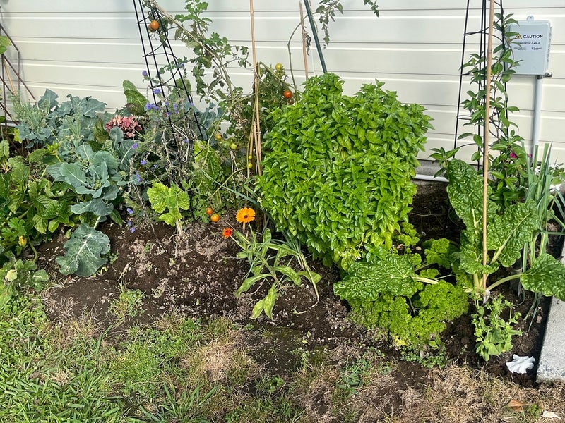 22 Gordon Davies Lane, Huntington, Hamilton - Carousel 26