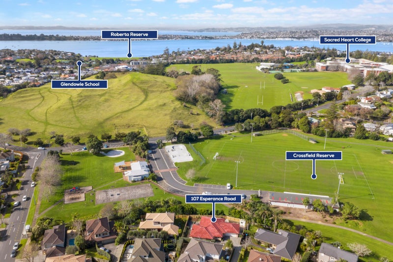 107 Esperance Road, Glendowie, Auckland - Carousel 27