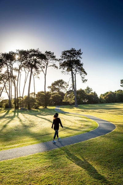 3A Seacrest Drive, West Harbour, Auckland - Carousel 17