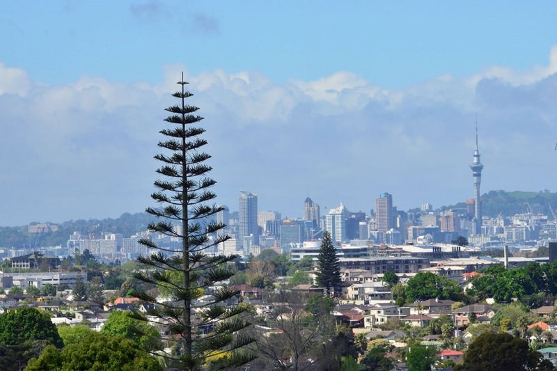 1/48 Ravenwood Drive, Forrest Hill, Auckland - Carousel 2