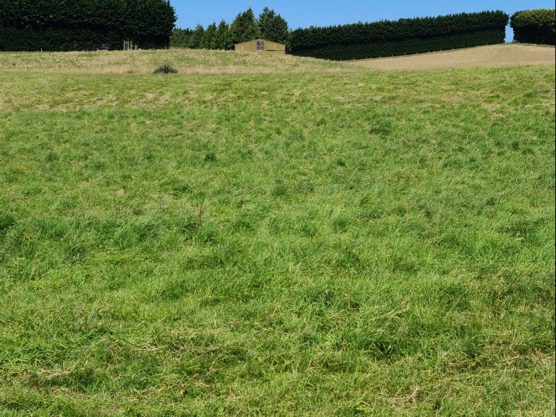 81 Homestead Road, Weston, Oamaru - Carousel 9