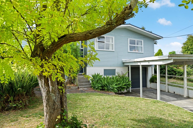 20 Patrick Place, Fitzroy, Hamilton - Carousel 2