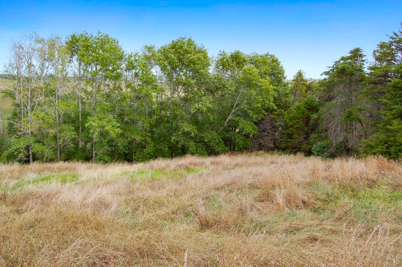 306D Oneriri Road, Kaiwaka - Carousel 22