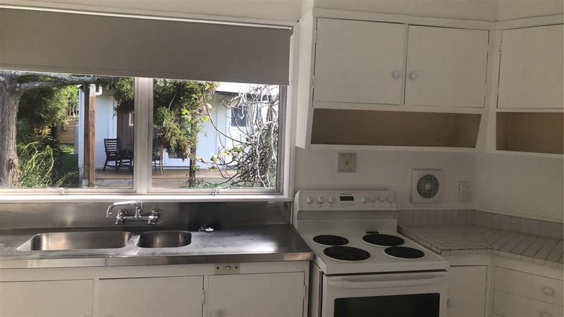 49B Kohimarama Road, Kohimarama, Auckland - Carousel 2