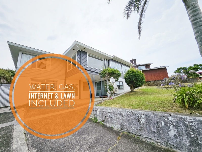 5 Nicholson Place, Hillcrest, Auckland - Carousel 1