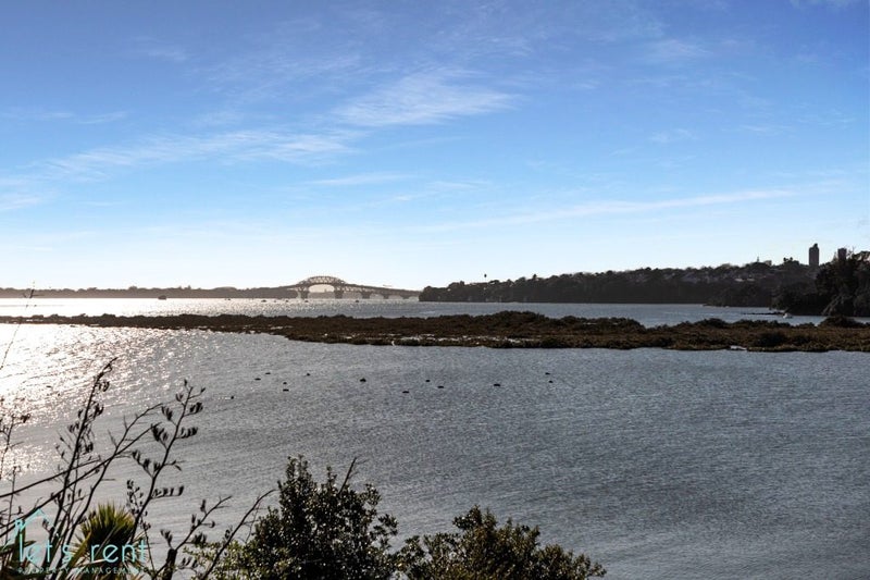 25 Johnstone Street, Point Chevalier, Auckland - Carousel 2