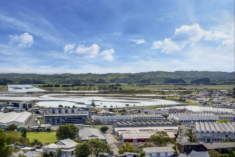 28 Parade Street, Hospital Hill, Napier - Carousel 20